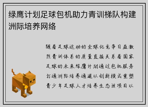 绿鹰计划足球包机助力青训梯队构建洲际培养网络
