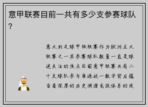 意甲联赛目前一共有多少支参赛球队？